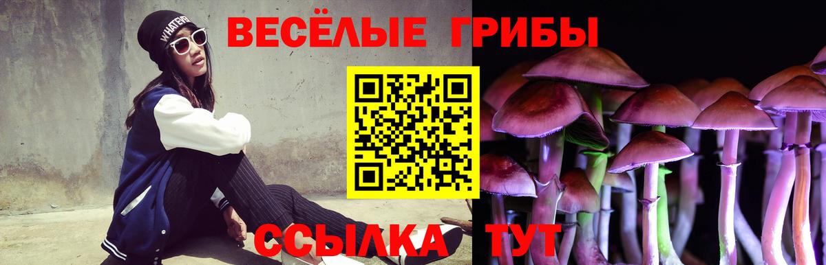 Псилоцибиновые грибы прущие грибы Черногорск